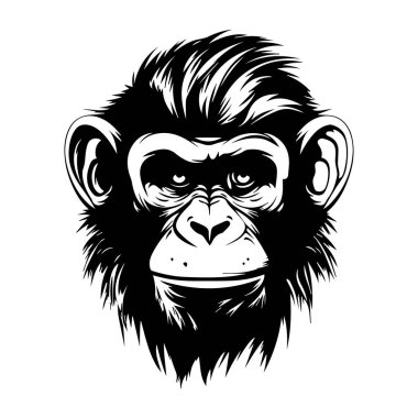 Detailed Illustration of a Monkey Face Featuring Distinctive Facial Features and Expressive Expression in a Bold Black and White Design
