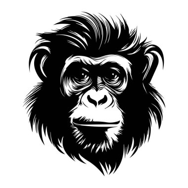 Detailed and Artistic Black and White Illustration of a Chimpanzee Face with Intricate Fur Texture and Expressive Features