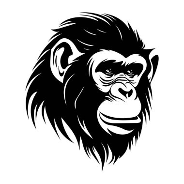Realistic black and white illustration of a chimpanzee head showcasing intricate details and expressive features for design and art projects