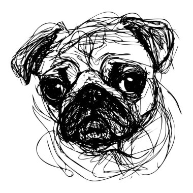 Detailed Line Art Drawing of a Pug Dog with Expressive Eyes in Black Ink on White Background