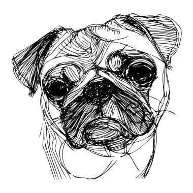 Charming Line Art Illustration of a Pug Dog with Intricate Sketchy Details and Unique Textures