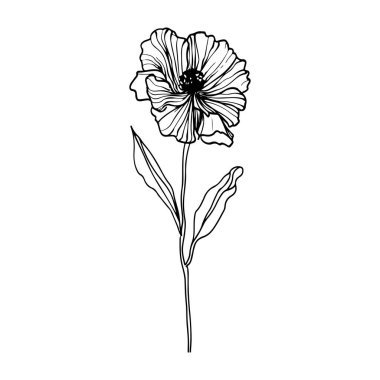 Hand-Drawn Outline Illustration of a Single Flower with Detailed Petals and Leaves for Artistic and Floral Designs