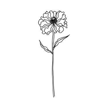 Elegant Line Art Illustration of a Flower with Delicate Petals and Graceful Stem, Ideal for Nature-Themed Designs and Artistic Projects