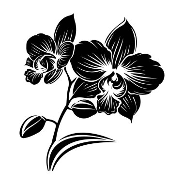 Elegant Black and White Orchid Floral Design with Detailed Petals and Rich Texture for Art and Decorative Use