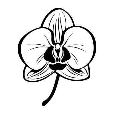 Elegant Black and White Outline of an Orchid Flower for Artistic and Decorative Use in Various Design Projects