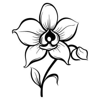 Elegant Hand-Drawn Orchid Illustration for Artistic and Creative Projects Featuring Delicate Petals and Graceful Lines