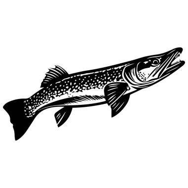 Realistic Hand-drawn Illustration of a Freshwater Fish in Black and White Style for Nature and Wildlife Themes