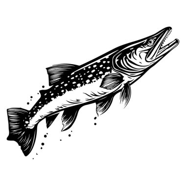 Detailed Black and White Illustration of a Leaping Fish with Intricate Scale Patterns and Dynamic Movement Depicting Freshwater Recreational Angling