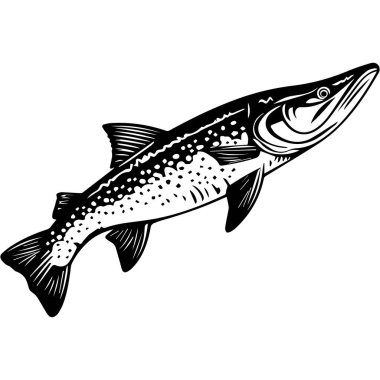 Detailed illustration of a freshwater fish featuring intricate scale patterns and dynamic shape, perfect for outdoor or culinary themes