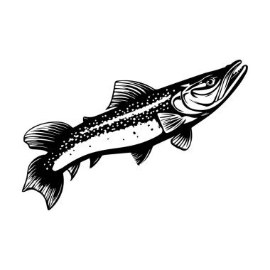 Illustrated design of a detailed fish featuring distinct scales and fins, suitable for seafood themes and fishing related art projects