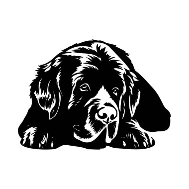 Black and White Illustration of a Thoughtful Dog with Short Hair Resting on a Flat Surface