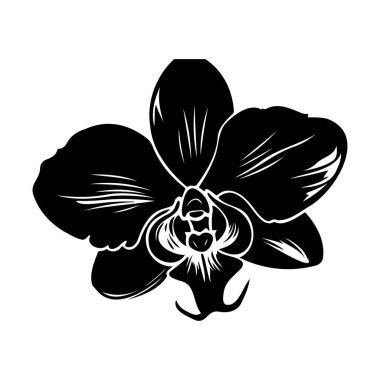 Stunning Black and White Orchid Floral Design Ideal for Nature Lovers, Home Decor, and Artistic Creations