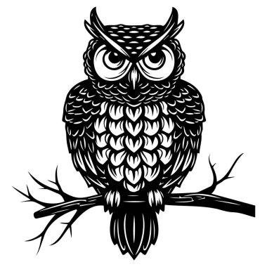Intricate Black and White Owl Design Perched on Branch for Nature and Wildlife Themed Projects or Illustrations