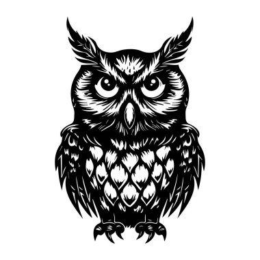 Detailed Black and White Illustration of a Fierce Owl with Intricate Features and Expressive Eyes for Artistic and Educational Use