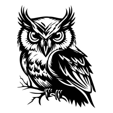 Detailed black and white illustration of a wise owl perched on a branch showcasing intricate feather patterns and fierce expression