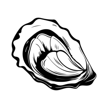 Detailed Illustration of an Open Oyster Shell with a Smooth Interior and Textured Edges, Perfect for Culinary or Marine Themes