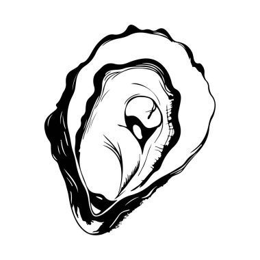 Hand-drawn black and white illustration of a single oyster with detailed shell and interior showcasing its natural contours and textures