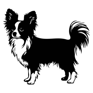 Black silhouette of a charming Chihuahua dog standing gracefully, showcasing distinct fur, ears, and tail shape, perfect for pet-themed projects.