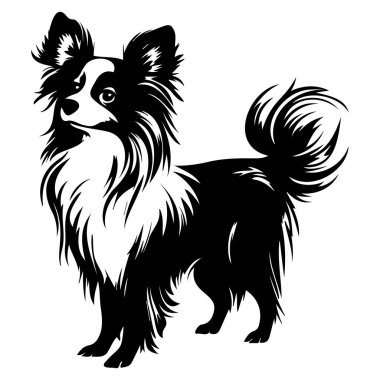 Artistic black and white silhouette of a charming small dog breed with fur details and happy expression for creative projects or products