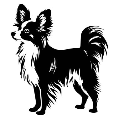Elegant Black and White Illustration of a Chihuahua Dog Standing in Profile with Detailed Fur Texture and Graceful Posture