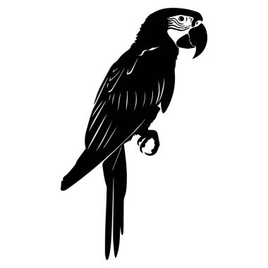 Black Silhouette of a Parrot Perched on Branch for Artistic Design and Nature Illustration