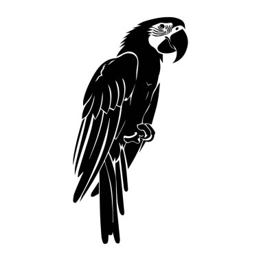 Elegant Black Silhouette of a Majestic Parrot Resting on a Branch with Detailed Feather Patterns and Strong Beak Design