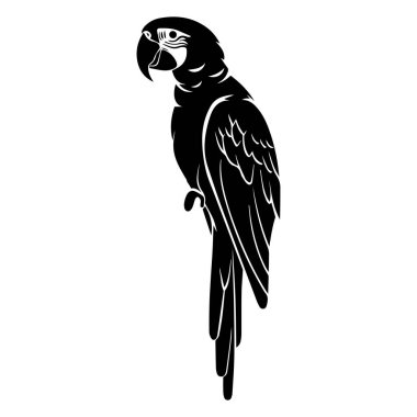Elegant Silhouette of a Parrot Perched Gracefully on a Branch in Black and White Style for Decorative or Artistic Purposes