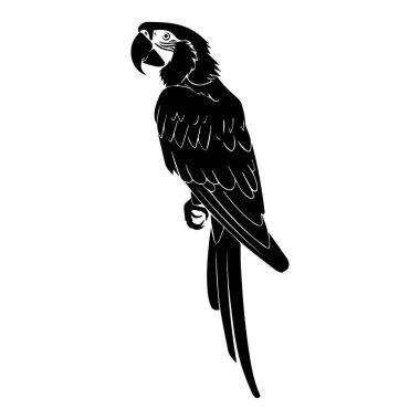 Elegant Black and White Vector Illustration of a Parrot Perched, Showcasing Its Distinctive Features and Graceful Pose