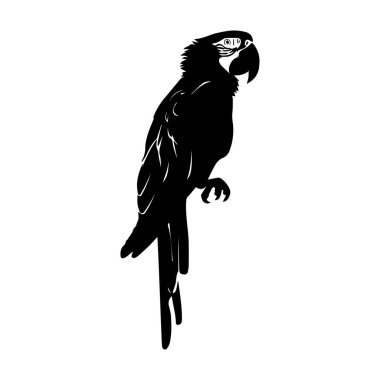 Black silhouette of a parrot perched elegantly on a branch, showcasing its distinct features and poised stance against a white background.