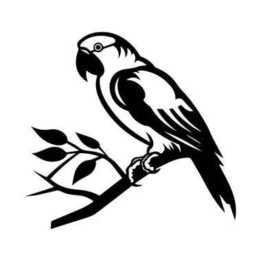 Elegant Black and White Illustration of a Parrot Perched on a Branch with Leaves for Nature and Wildlife Design Projects