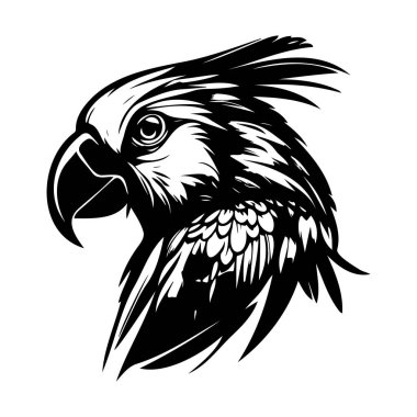 Captivating Black and White Illustration of a Parrot Head Showcasing Intricate Feather Details and Majestic Features
