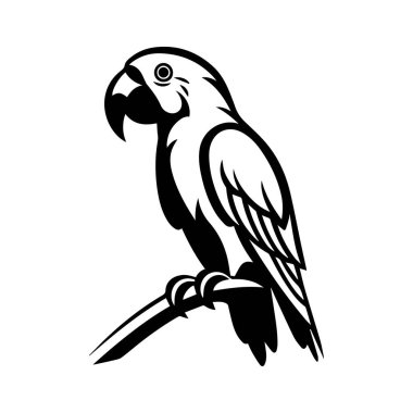 Elegant Black and White Illustration of a Parrot Perched on a Branch in a Minimalist Style for Creative Projects