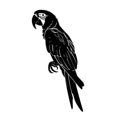 Elegant Black and White Silhouette of a Parrot Perched Gracefully on a Branch Ideal for Decorative Purposes in Various Art Projects