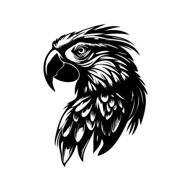 Intricate Illustration of a Majestic Bird Head, Capturing the Essence of Nature and Wildlife in Stunning Black and White Design