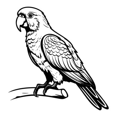 Detailed Black and White Illustration of a Parrot Perched on a Branch with Intricate Feather Patterns and Expressive Features