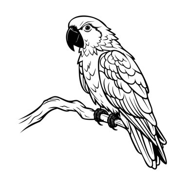 Detailed black and white illustration of a parrot perched on a branch showcasing intricate feather patterns and a bold, expressive beak