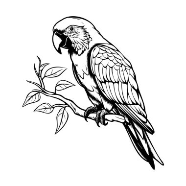 Intricate black and white illustration of a parrot perched on a branch surrounded by leaves, showcasing detailed feathers and expressive features