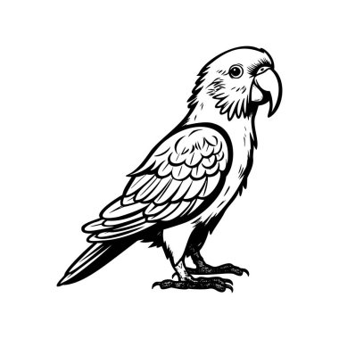 Detailed Black and White Illustration of a Exotic Parrot with Intricate Feather Patterns and Sharp Beak, Ideal for Nature and Wildlife Themes