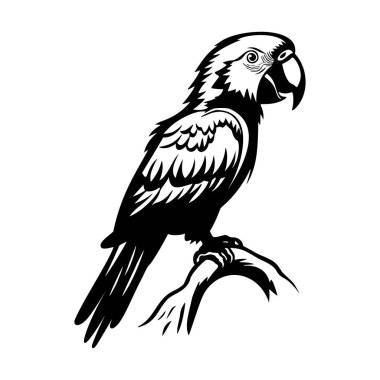 Elegant Black and White Illustration of a Parrot perching on a Branch in a Minimalist Style