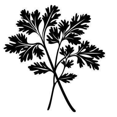 Black silhouette of fresh cilantro leaves on a white background ideal for culinary, herbal, or botanical designs and illustrations in diverse projects