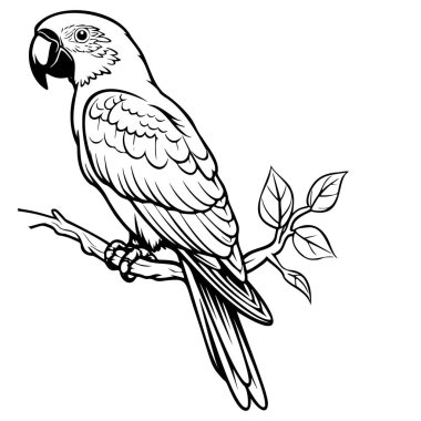 Black and White Sketch of Parrot Sitting on a Branch with Leaves in a Simple and Elegant Outline Style for Art and Design