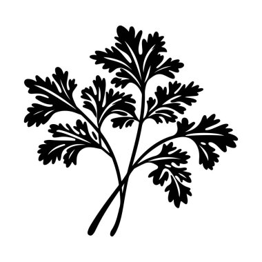 Black silhouette of fresh herb with detailed leaves showing botanical beauty isolated on white background for design and culinary themes