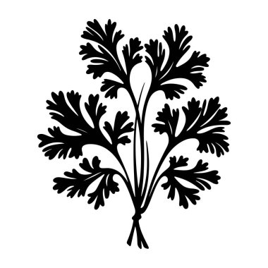 Beautiful Silhouette of Foliage with Intricate Leaf Patterns Perfect for Nature and Gardening Illustrations