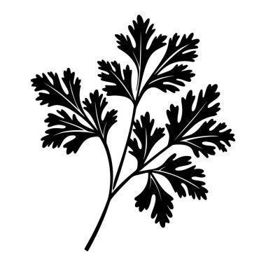 Black silhouette of a cilantro leaf showcasing detailed foliage and texture for culinary, gardening, and botanical themes