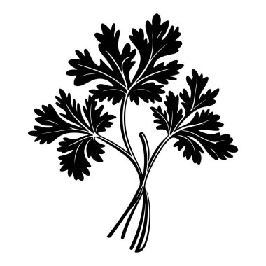 Black and White Silhouette of Fresh Cilantro Leaves with Textured Fronds and Stems Ideal for Culinary and Gardening Projects
