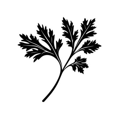 Detailed Illustration of a Fresh Green Herb Leaf Ideal for Culinary and Botanical Use in Various Designs and Creative Projects