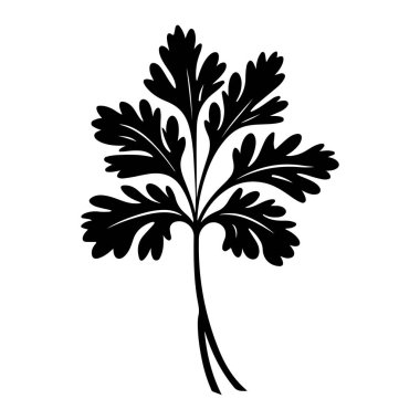 Elegant silhouette of a fresh herb leaf showcasing intricate details, perfect for culinary and botanical designs or organic product branding