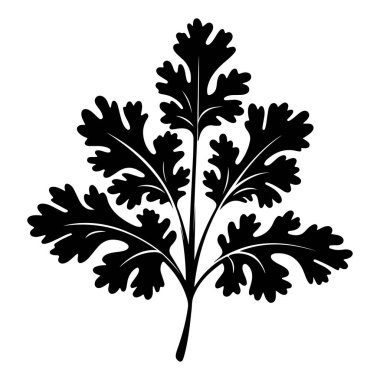Elegant outline of a single parsley leaf showcasing intricate details and textures for culinary and nature-themed designs
