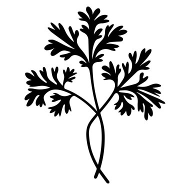 Beautiful Black Silhouette of Fresh Herb with Delicate Leaves and Detailed Structure for Culinary and Natural Style Designs