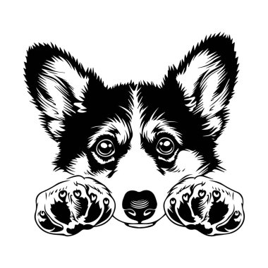 Cute dog face illustration featuring a playful corgi with large expressive eyes and floppy ears, captivating and charming graphic design for pet lovers